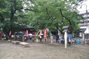 敷島神社の茅の輪くぐり